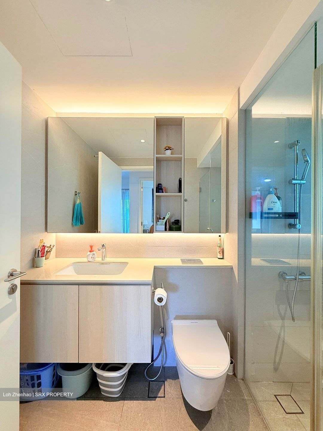 The Minton (D19), Condominium #555716681